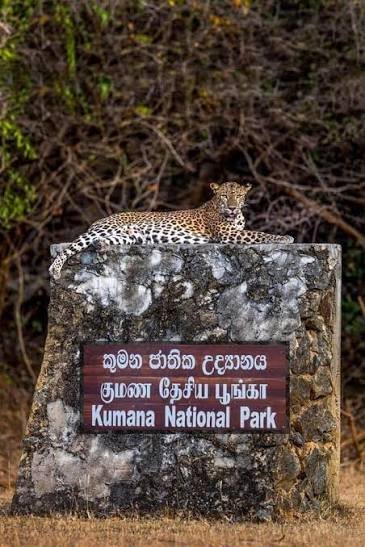 Kumana National Park