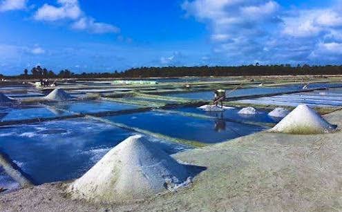 Hambantota salt farms